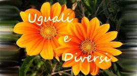 Uguali e Diversi