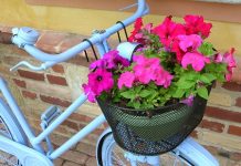 Scelta vegetariana e vita in bicicletta, Michela De Petris, Mauro Destino