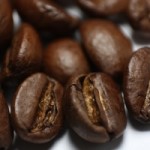 La piramide del caffè, Nicola Lecca