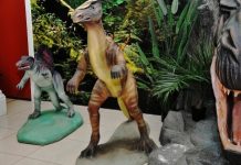 Voglio il mio Dino!, Carolina D’Angelo, Giuditta Gaviraghi