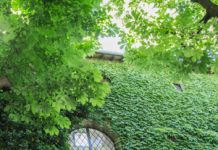 A passeggio tra la poesia: La stanza tutta per loro (parte 2)