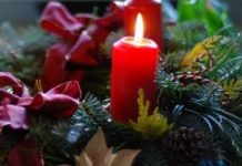 Day 15: Citazione #101