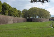 Un piccolo gesto crudele, Elizabeth George