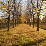 Ottobre : Leggere in libertà!