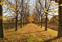 Ottobre : Leggere in libertà!