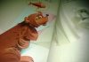 Perché l’orso ha la coda mozza, Peter Christien Asbjornsen, Jorgen Moe