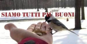 Qualche piccola buona azione