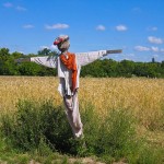 E poi, Paulette…, Barbara Constantine