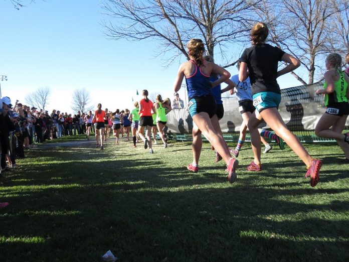 runners-2365067_1920
