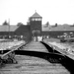 Giorno della memoria: 10 libri per non dimenticare