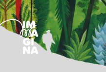 Immagina Festival: un’avventura tra i libri illustrati