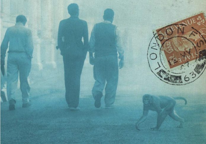 recensione l'anno dei fuggiaschi