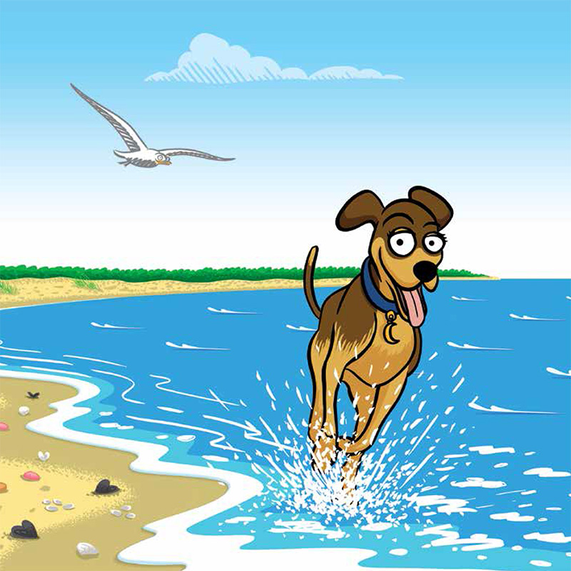 La recensione di Luna e gli amici del mare di Elena Auricchio