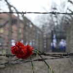 Giornata della Memoria: 10 libri per non dimenticare