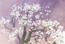 Chi vive nel giardino, Kateryna Mikhalissyna, Oksana Bulak