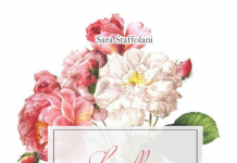 Le colline, il tramonto e un cane. Vita e poesia di Emily Dickinson, Sara Staffolani