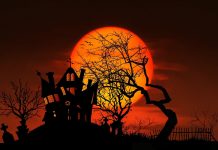 Halloween: i libri da leggere nella notte più creepy dell’anno!