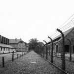 10 libri da leggere per la Giornata della Memoria