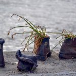 5 libri per bambini per la Giornata della Memoria