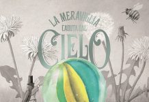 La meraviglia caduta dal cielo, The Fan brothers