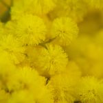 8 libri da regalare per la festa della donna