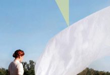 L’albero della nostra vita, Joyce Maynard