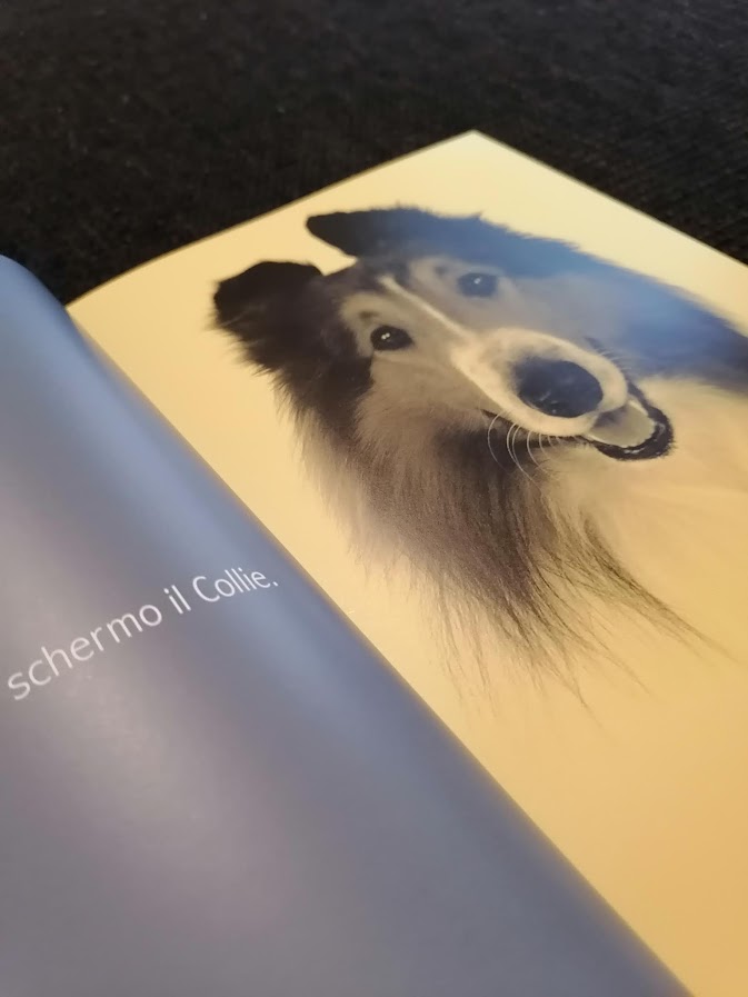 A lume di naso / Farsa Testimonianza, Reg Jany