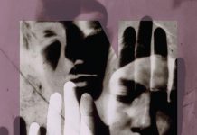 Qualcosa nella nebbia, Roberto Camurri Qualcosa nella nebbia, Roberto Camurri