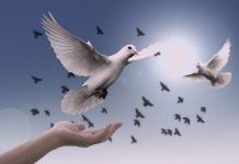 Settembre 2022: Guerra e pace