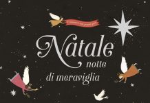 Natale, notte di meraviglia, Silvia Vecchini, Lara Hawthorne Natale, notte di meraviglia, Silvia Vecchini, Lara Hawthorne