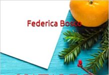 Natale e altri disastri, Federica Bosco