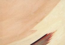 L’uccello nero, Gunnar Gunnarsson