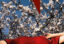 Un giorno di festa, Joyce Maynard