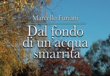 Dal fondo di un’acqua smarrita, Marcello Furiani