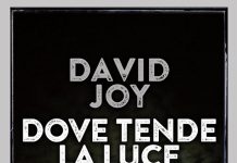 Dove tende la luce, David Joy