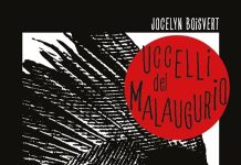Uccelli del malaugurio, Jocelyn Boisvert