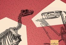 Polvere e ossa, Gabriele Ferrari