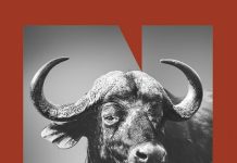 Selvaggio Ovest, Daniele Pasquini