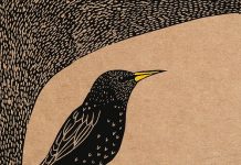 Il canto dello storno, Octavie Wolters