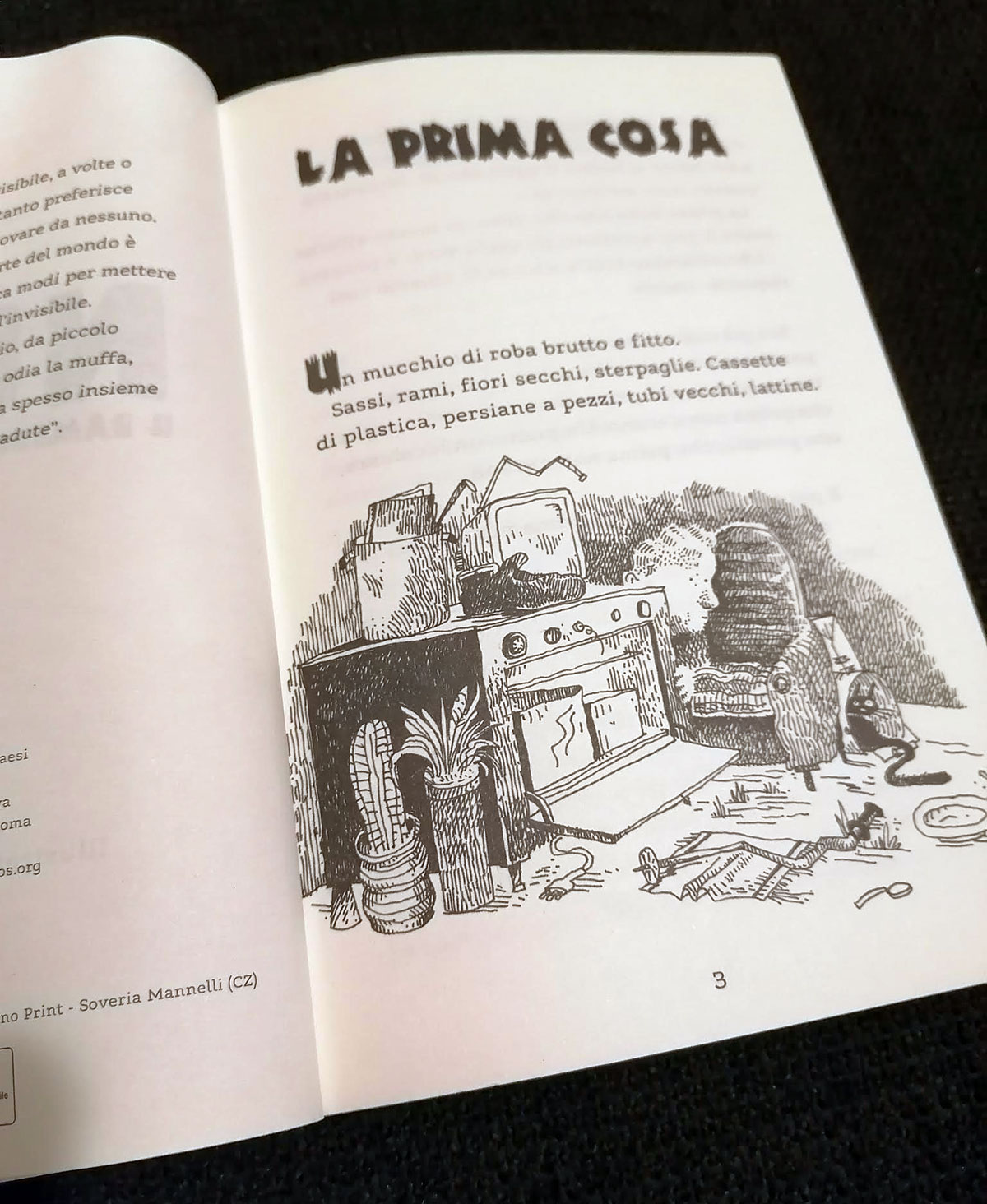 Nullo. Il bambino quasi invisibile, Daniela Carucci