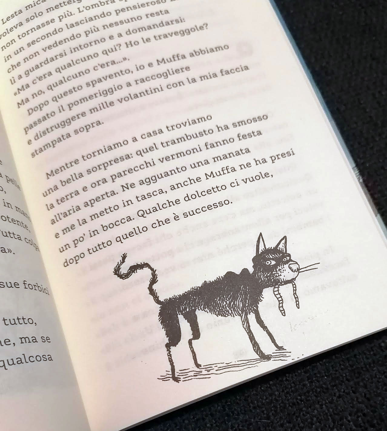 Nullo. Il bambino quasi invisibile, Daniela Carucci