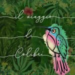 Il viaggio di Colibrì, Pamela Comi Il viaggio di Colibrì, Pamela Comi