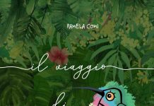 Il viaggio di Colibrì, Pamela Comi Il viaggio di Colibrì, Pamela Comi