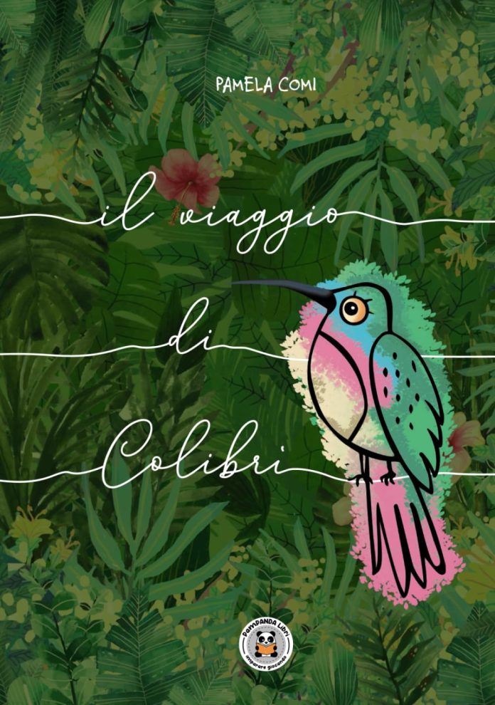 Il viaggio di Colibrì, Pamela Comi