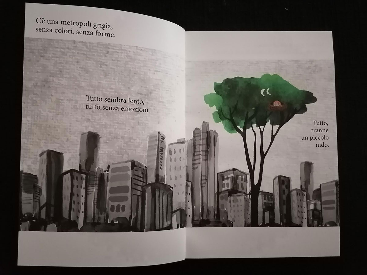 Il viaggio di Colibrì, Pamela Comi