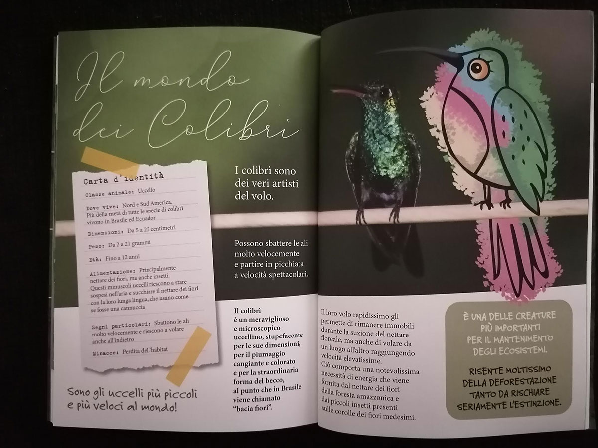 Il viaggio di Colibrì, Pamela Comi