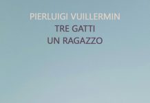 Tre gatti un ragazzo, Pierluigi Vuillermin Tre gatti un ragazzo, Pierluigi Vuillermin