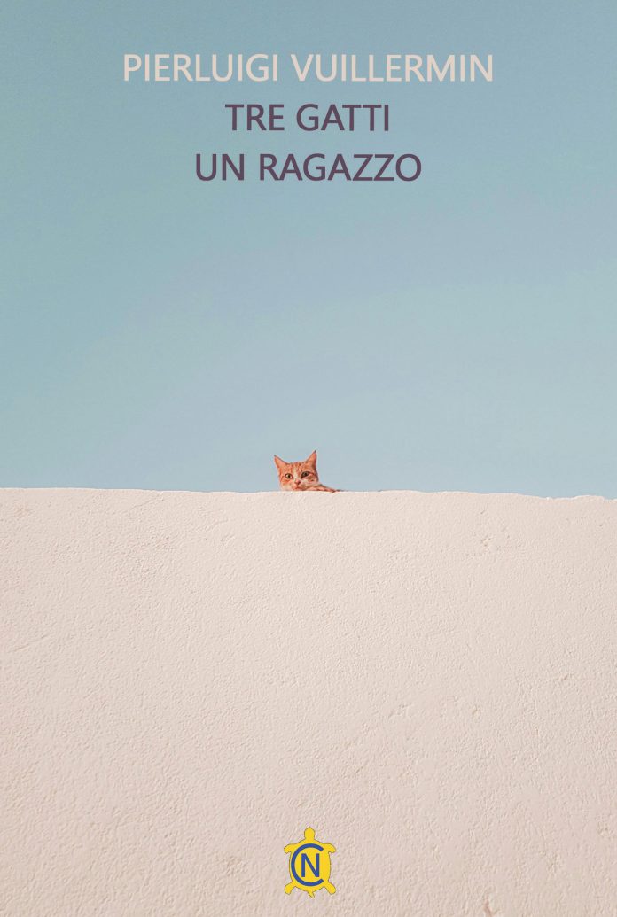 Tre gatti un ragazzo, Pierluigi Vuillermin Tre gatti un ragazzo, Pierluigi Vuillermin