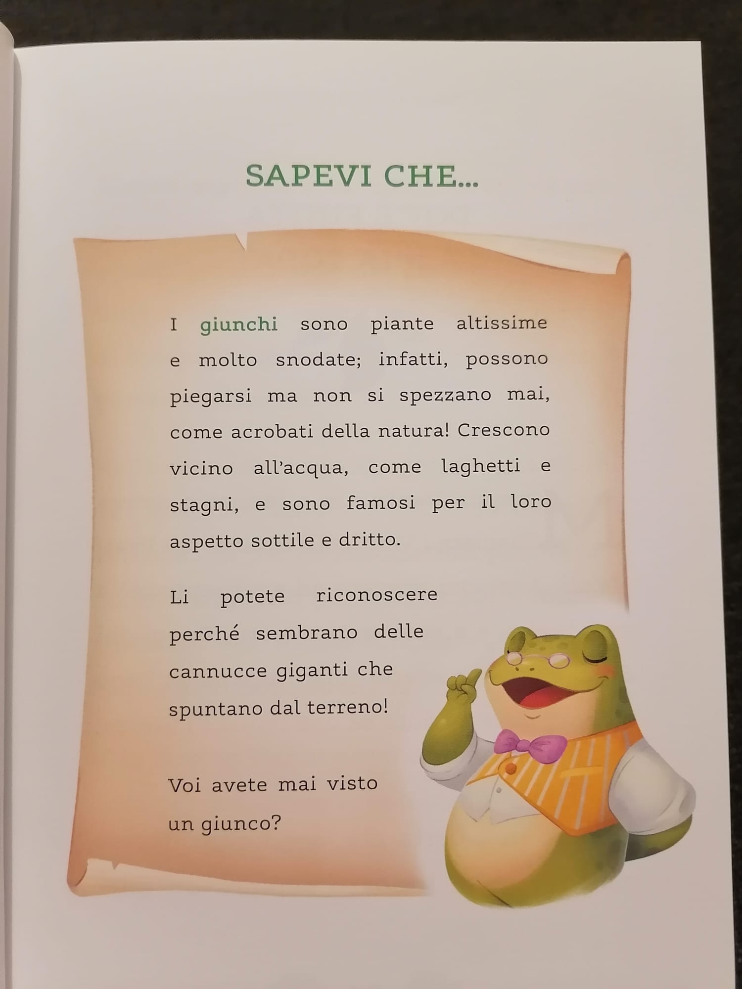 Alla scoperta di Pratalión, Nonno Rana racconta