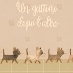 Un gattino dopo l’altro, Davide Calì, Monica Barengo https://amzn.to/4bqfJUl
